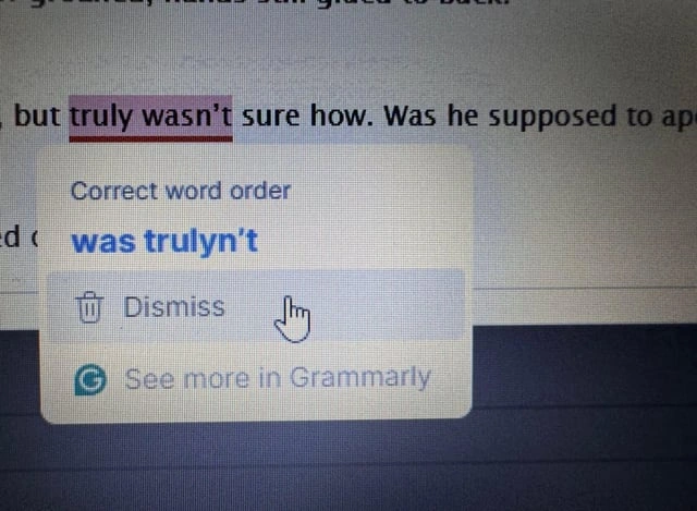 Grammarly made an AI mistake.